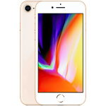 iPhone 8 64 GB Guld Utmärkt Batteri 100%
